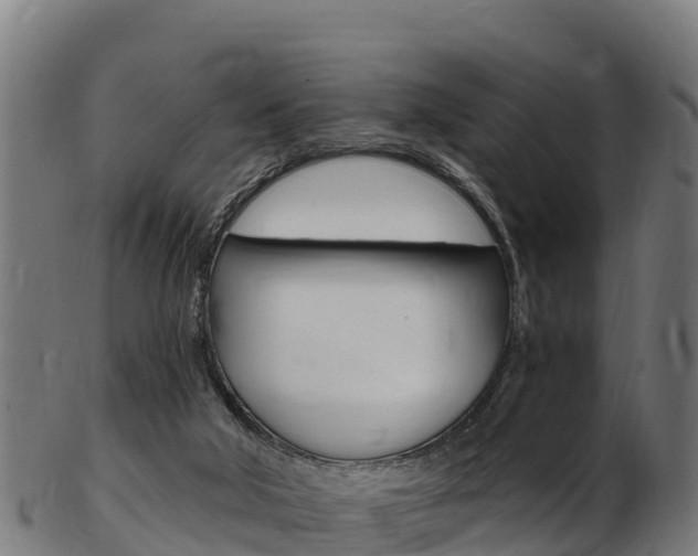 X0000103470018200809121130