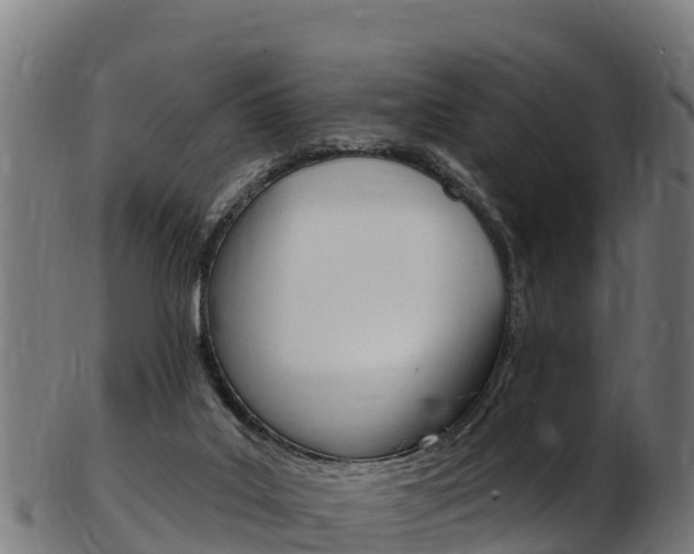 X0000103470019200809121130