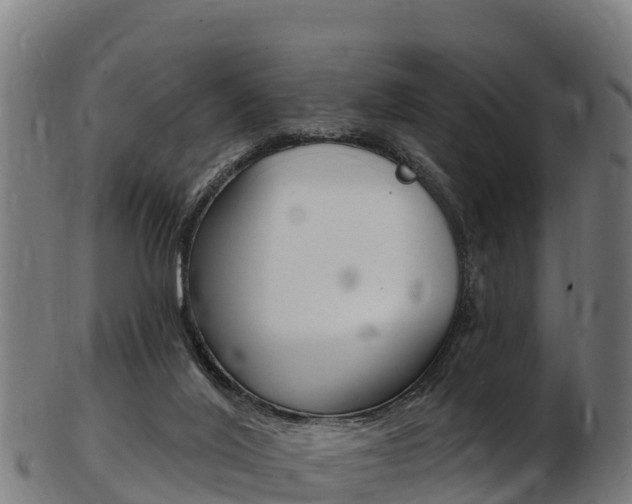 X0000103470020200809121130