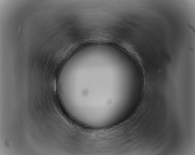 X0000103470021200809121130