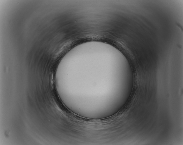 X0000103470024200809121130