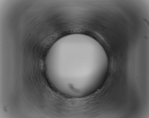 X0000103470025200809121130