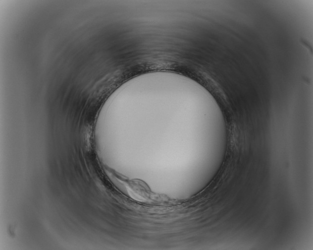 X0000103470026200809121130