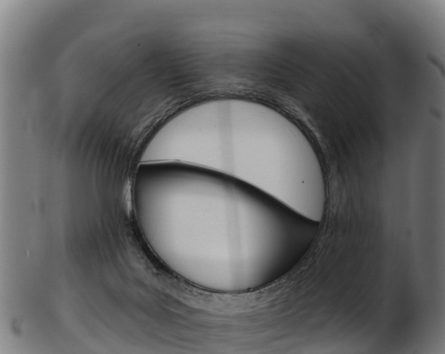 X0000103470027200809121130