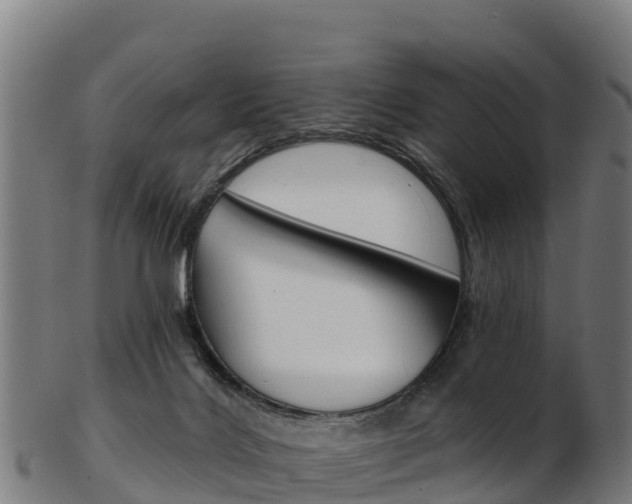 X0000103470028200809121130