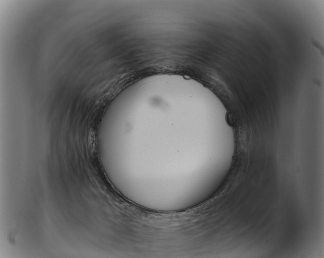 X0000103470029200809121130