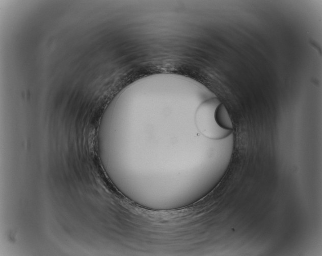 X0000103470030200809121130