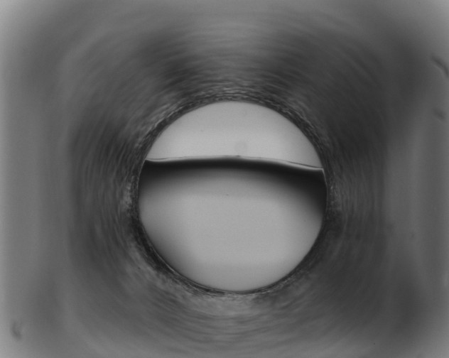 X0000103470032200809121130