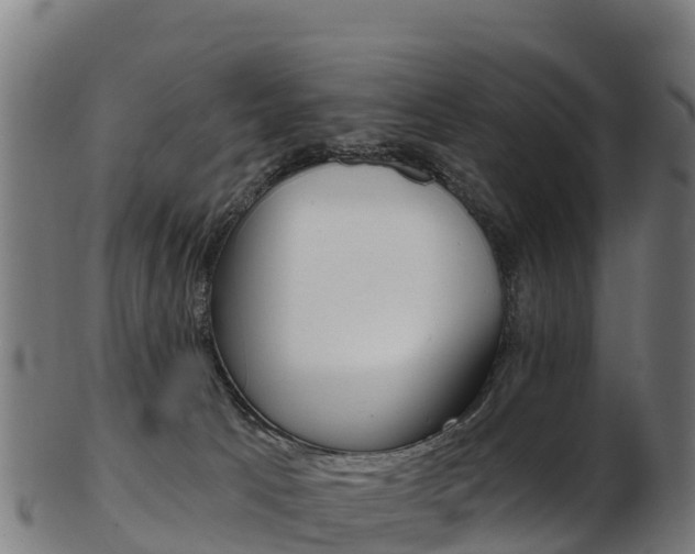 X0000103470033200809121130