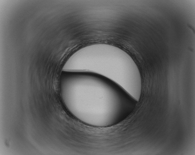 X0000103470035200809121130