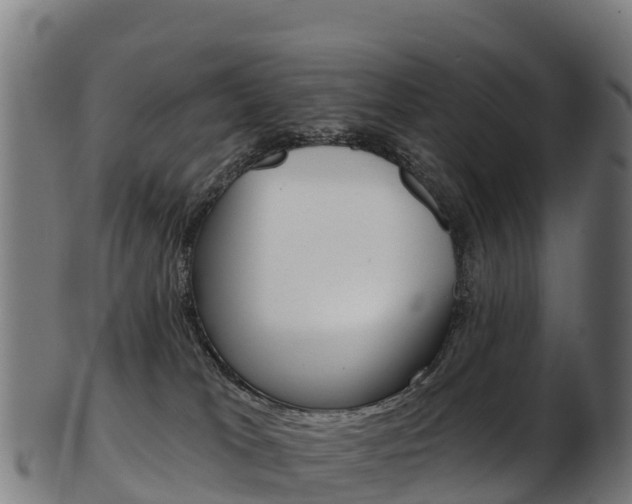 X0000103470037200809121130