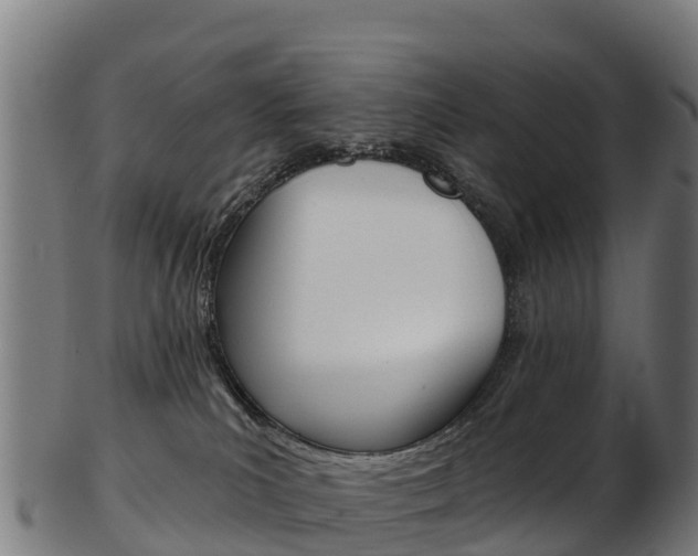 X0000103470039200809121130