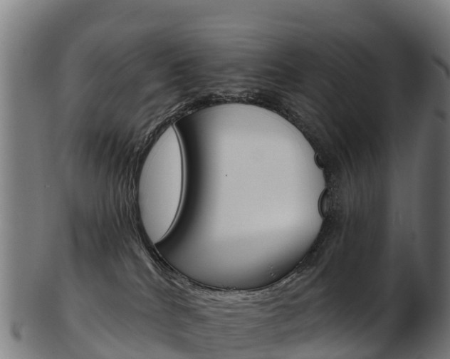 X0000103470040200809121130