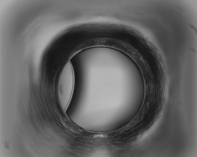 X0000103470050200809121129