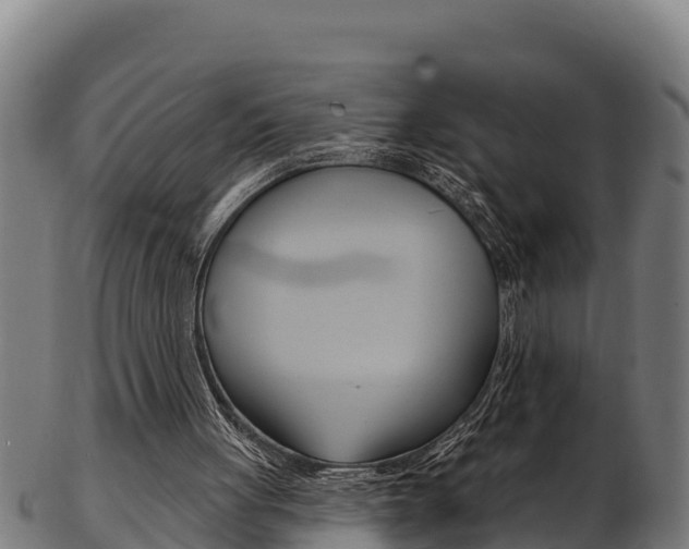 X0000103470051200809121129