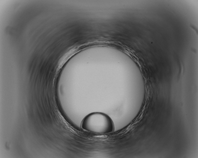 X0000103470053200809121129