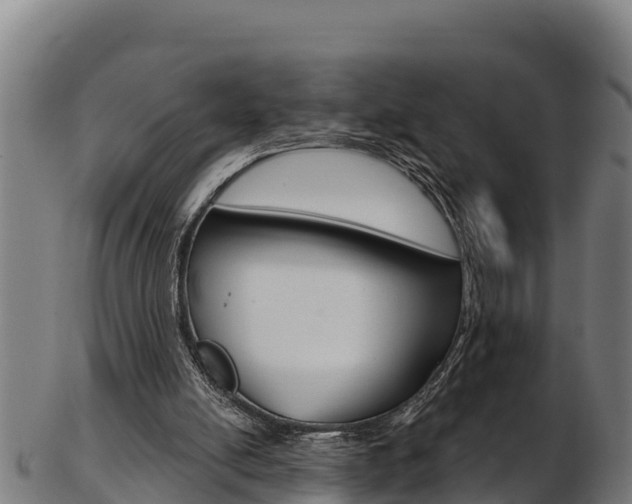 X0000103470054200809121129