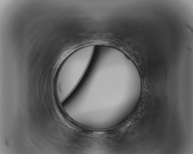 X0000103470055200809121129
