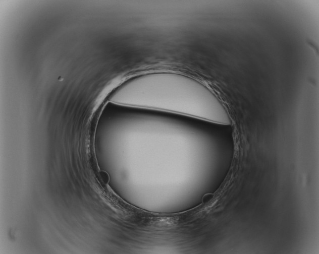 X0000103470056200809121129