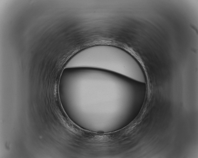 X0000103470057200809121129