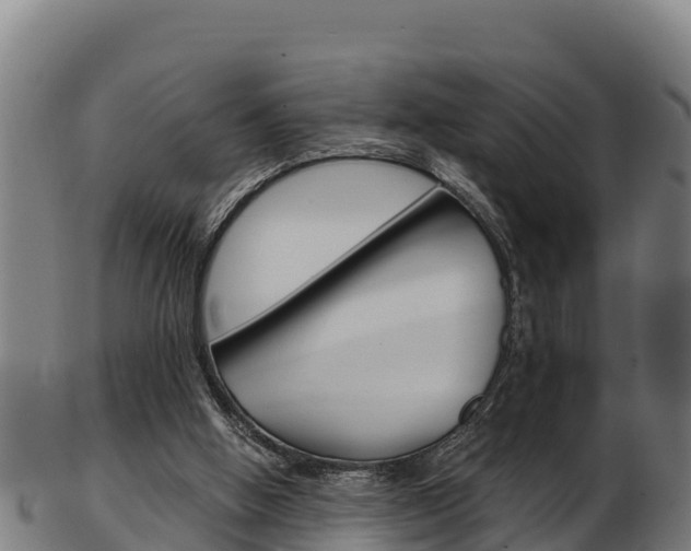 X0000103470058200809121129