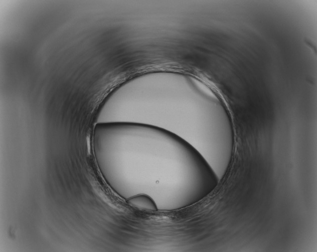 X0000103470061200809121129