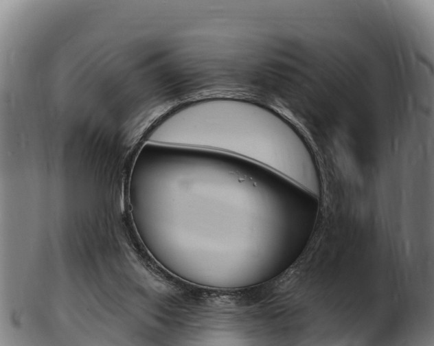 X0000103470062200809121129