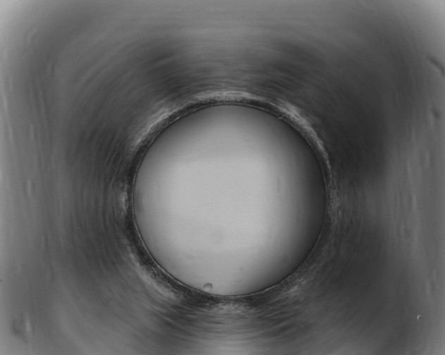X0000103470063200809121129