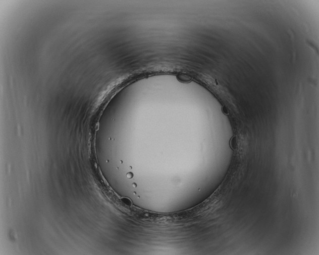 X0000103470064200809121129