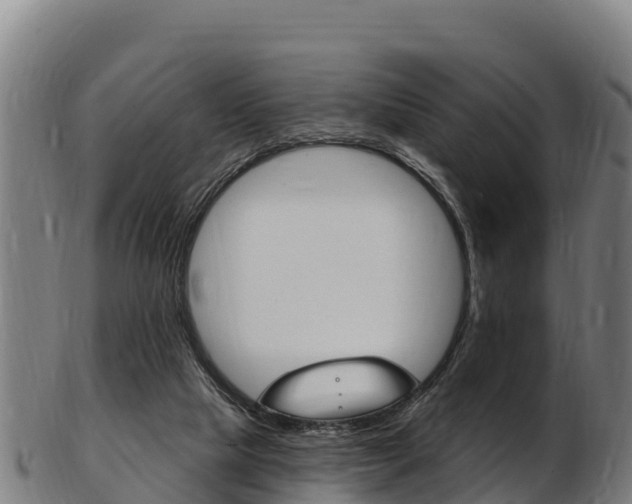 X0000103470065200809121129
