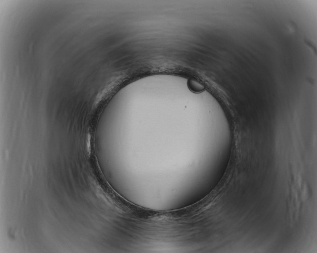 X0000103470067200809121129