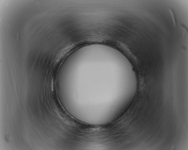 X0000103470068200809121129