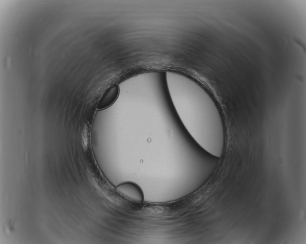 X0000103470069200809121129