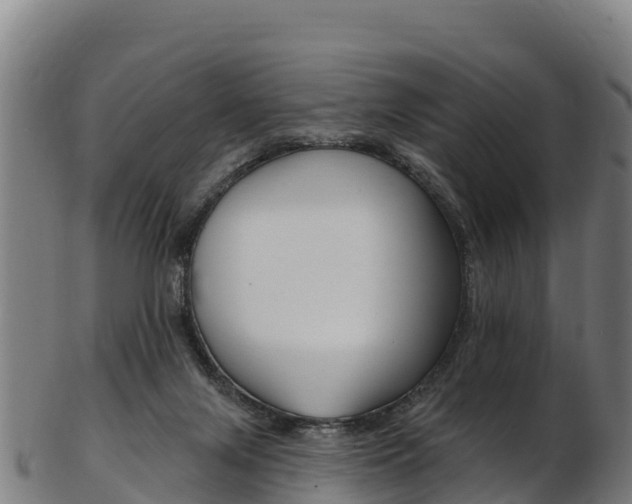 X0000103470071200809121129