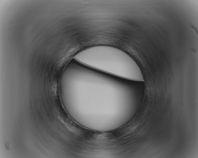 X0000103470072200809121129