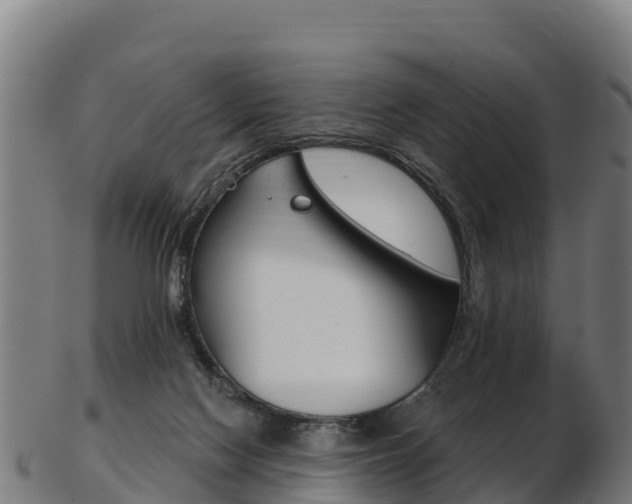 X0000103470074200809121129