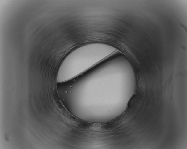X0000103470076200809121129