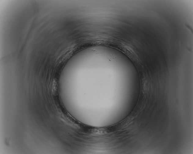 X0000103470077200809121129
