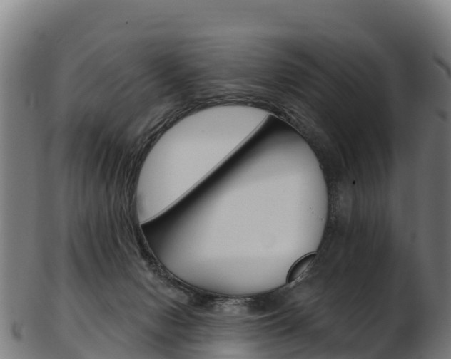 X0000103470078200809121129