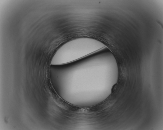 X0000103470080200809121129