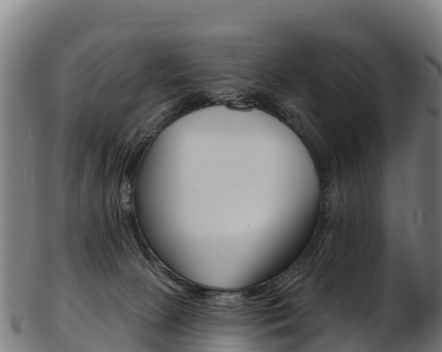 X0000103470081200809121129