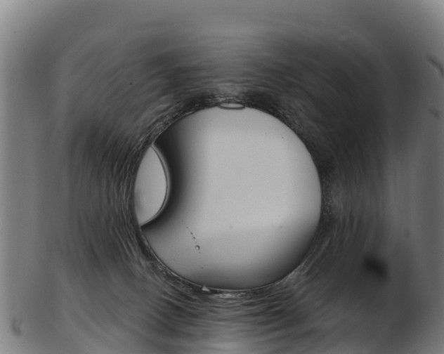 X0000103470082200809121129