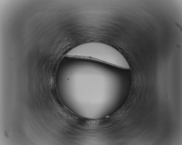 X0000103470084200809121129