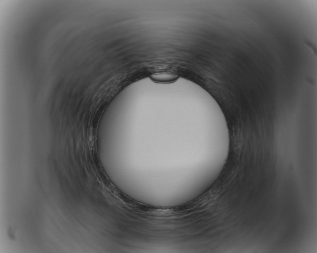 X0000103470085200809121129