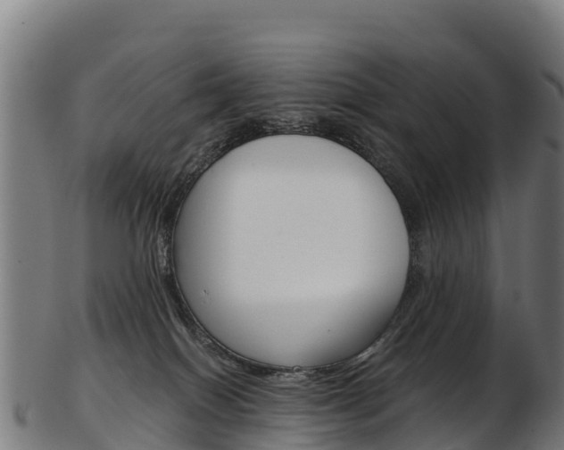 X0000103470086200809121129
