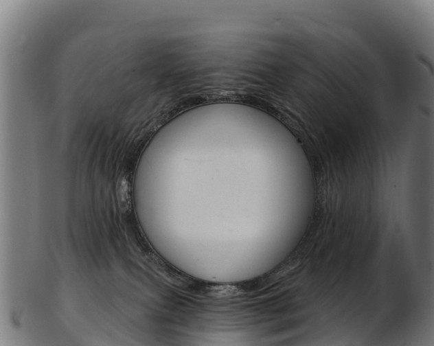 X0000103470087200809121129