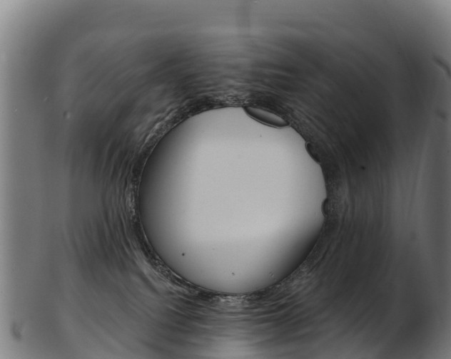 X0000103470088200809121129