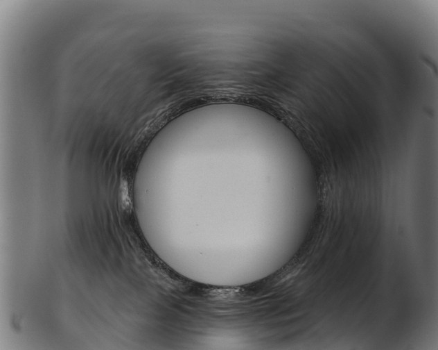 X0000103470089200809121130