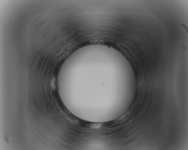 X0000103470090200809121130