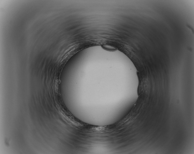X0000103470092200809121130